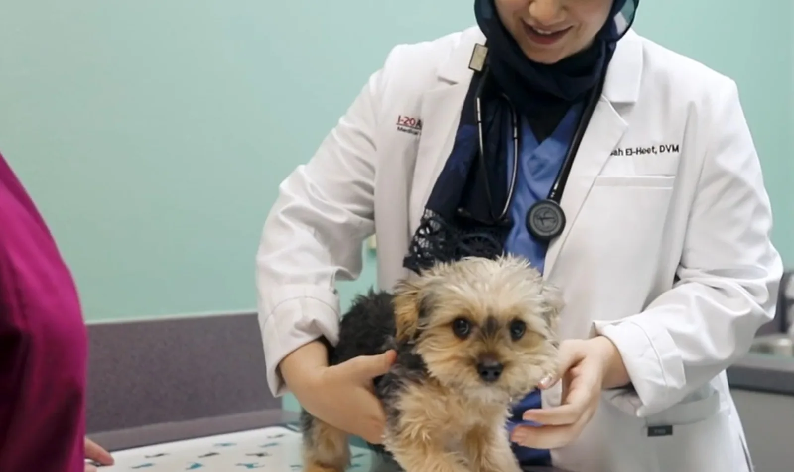 Veterinarian and Tech examining small puppy